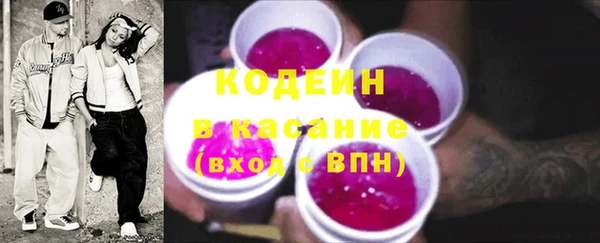 индика Каменск-Шахтинский