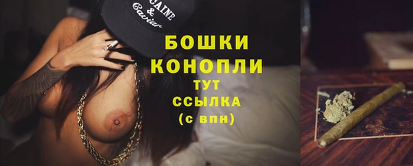 индика Каменск-Шахтинский