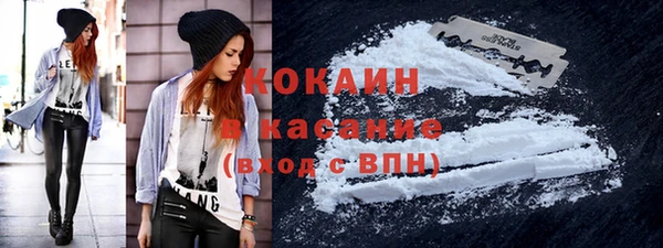индика Каменск-Шахтинский