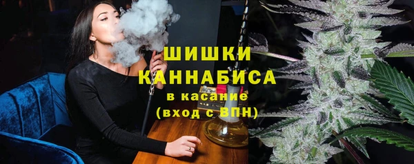 индика Каменск-Шахтинский